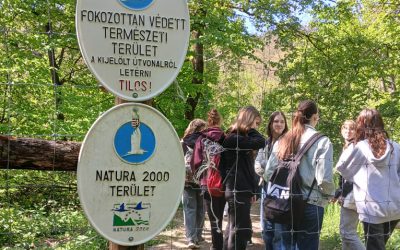A Pilisi len nyomában a Szénásokon